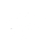 maradona-firma-blanco